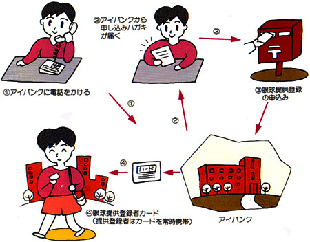眼球提供登録の手順