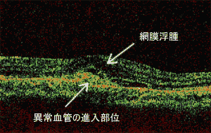 fushu fushu