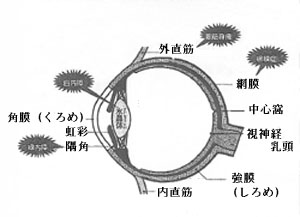 iifig1 iifig1